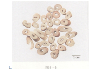 中药学专业一,预测试卷,2021年执业药师考试《中药学专业知识一》名师预测卷2