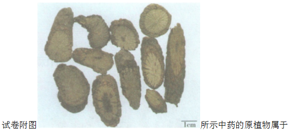 中药学专业一,预测试卷,2021年执业药师考试《中药学专业知识一》名师预测卷5