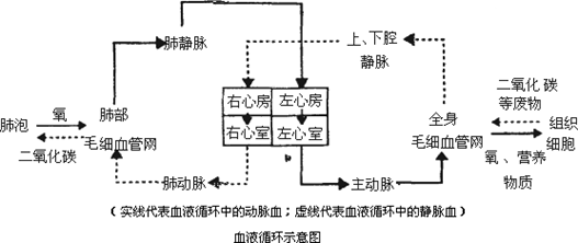 行政职业能力测验,历年真题,2019国家公务员考试《行测》真题（市地级）
