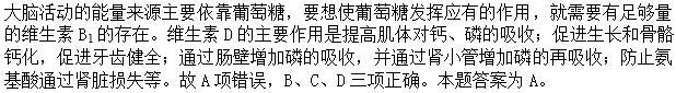 公共基础知识,强化练习,自然科技常识