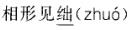 公共基础知识,强化练习,语文基础知识
