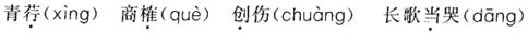 公共基础知识,强化练习,语文基础知识