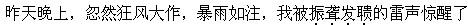 公共基础知识,强化练习,语文基础知识