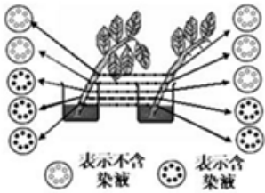 职业能力倾向测验,押题密卷,2022年C类事业单位招聘《行测》押题密卷1