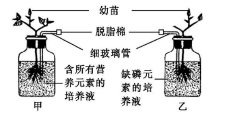 职业能力倾向测验,押题密卷,2022年C类事业单位招聘《行测》押题密卷2