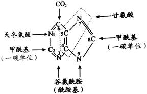 西医综合,历年真题,2005年研究生《西医综合》真题