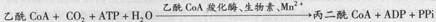 西医综合,历年真题,2006年研究生《西医综合》真题