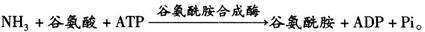 西医综合,历年真题,2009年研究生《西医综合》真题