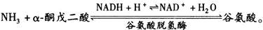 西医综合,历年真题,2009年研究生《西医综合》真题