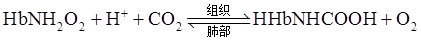 西医综合,历年真题,2019年研究生《西医综合》真题