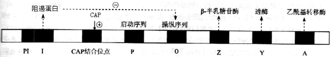 西医综合,历年真题,2019年研究生《西医综合》真题