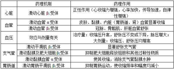 西医综合,历年真题,2019年研究生《西医综合》真题