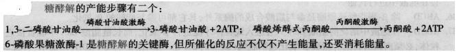 西医综合,预测试卷,《西医综合》预测试卷4