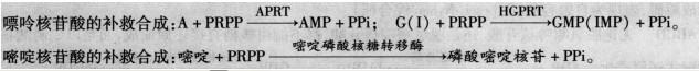 西医综合,预测试卷,《西医综合》预测试卷2