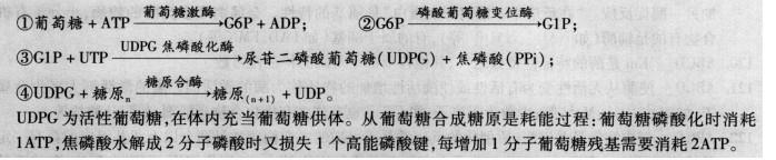 西医综合,章节精选,西医综合生物化学