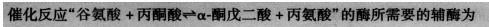 西医综合,章节精选,西医综合生物化学