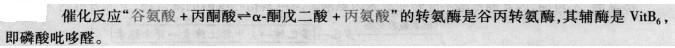 西医综合,章节精选,西医综合生物化学