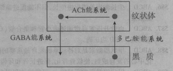 西医综合,章节精选,西医综合生理学