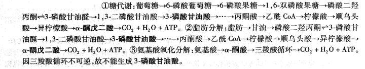 西医综合,历年真题,2004年研究生《西医综合》真题