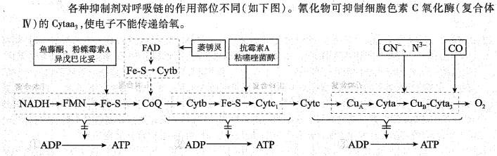 西医综合,历年真题,2003年研究生《西医综合》真题