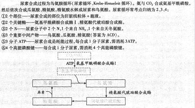西医综合,历年真题,2003年研究生《西医综合》真题