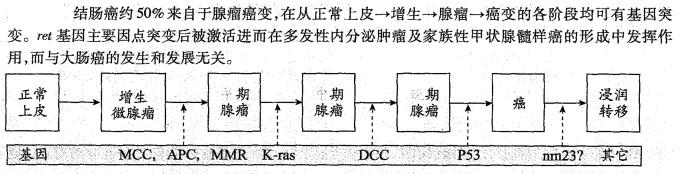 西医综合,历年真题,2003年研究生《西医综合》真题