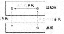 西医综合,历年真题,2002年研究生《西医综合》真题