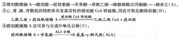 西医综合,历年真题,2002年研究生《西医综合》真题