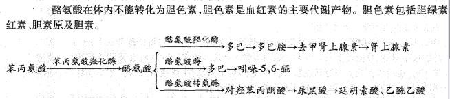 西医综合,历年真题,2002年研究生《西医综合》真题