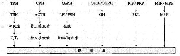 西医综合,历年真题,2001年研究生《西医综合》真题