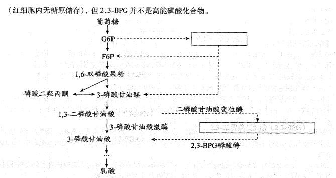 西医综合,历年真题,2000年研究生《西医综合》真题