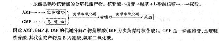 西医综合,历年真题,2000年研究生《西医综合》真题