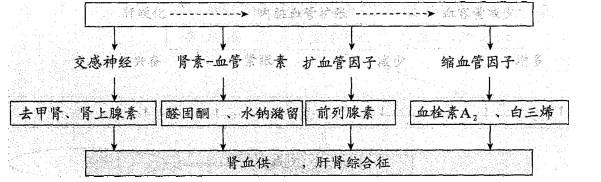 西医综合,历年真题,1999年研究生《西医综合》真题
