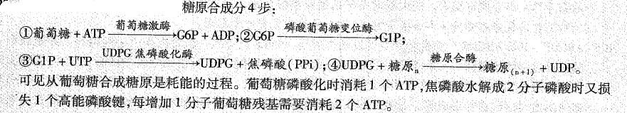 西医综合,历年真题,1999年研究生《西医综合》真题