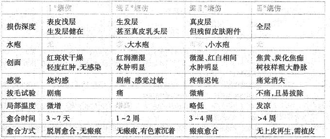 西医综合,历年真题,1998年研究生《西医综合》真题