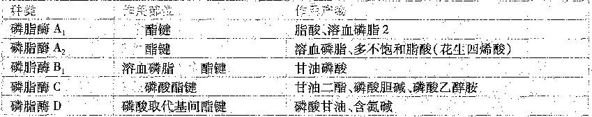 西医综合,历年真题,1997年研究生《西医综合》真题