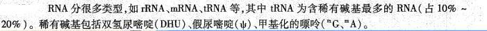 西医综合,历年真题,1996年研究生《西医综合》真题