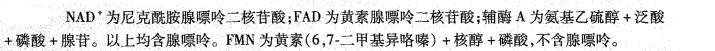 西医综合,历年真题,1996年研究生《西医综合》真题