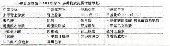 西医综合,历年真题,1996年研究生《西医综合》真题