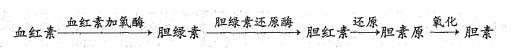 西医综合,历年真题,1995年研究生《西医综合》真题