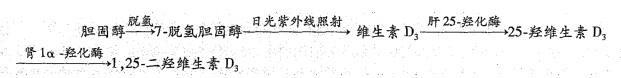 西医综合,历年真题,1995年研究生《西医综合》真题