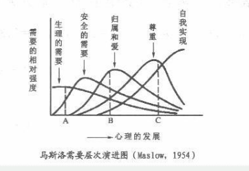 学硕心理学,历年真题,2010年全国硕士研究生招生考试《312心理学专业基础综合》真题