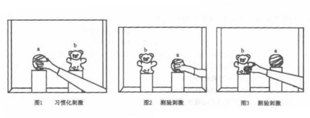 学硕心理学,历年真题,2014年全国硕士研究生招生考试《312心理学专业基础综合》真题