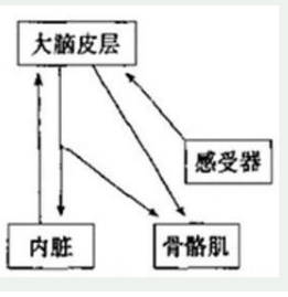 学硕心理学,历年真题,2018年全国硕士研究生招生考试《312心理学专业基础综合》真题