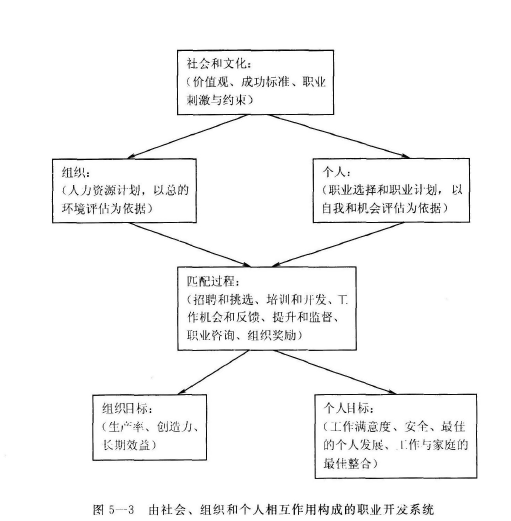 一级人力资源管理师,章节练习,基础知识 一级人力资源管理师,章节练习,基础知识