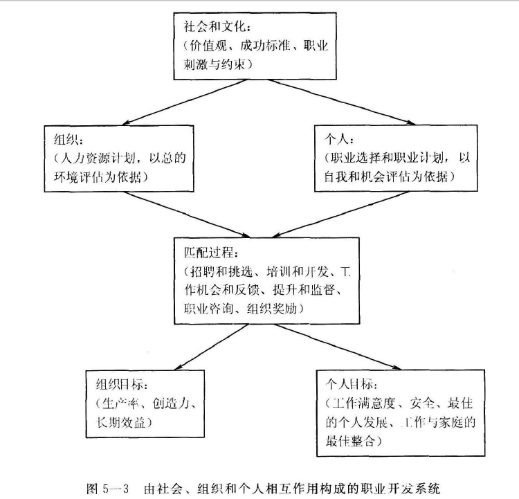 四级人力资源管理师,章节练习,基础复习,公共科目基础知识