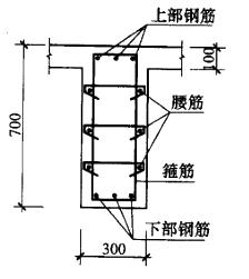 结构专业考试二级,历年真题,2009年注册结构工程师《专业考试二级》下午真题