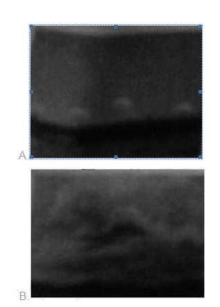 幼儿综合素质,真题章节精选,文化素养