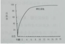 幼儿保教知识与能力,章节真题,幼儿保教知识与能力
