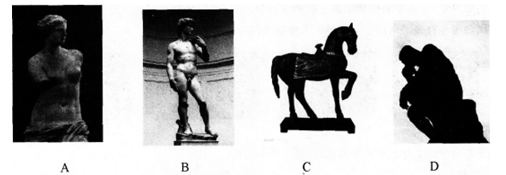 小学综合素质,章节冲刺,小学综合素质 小学综合素质,章节冲刺,小学综合素质